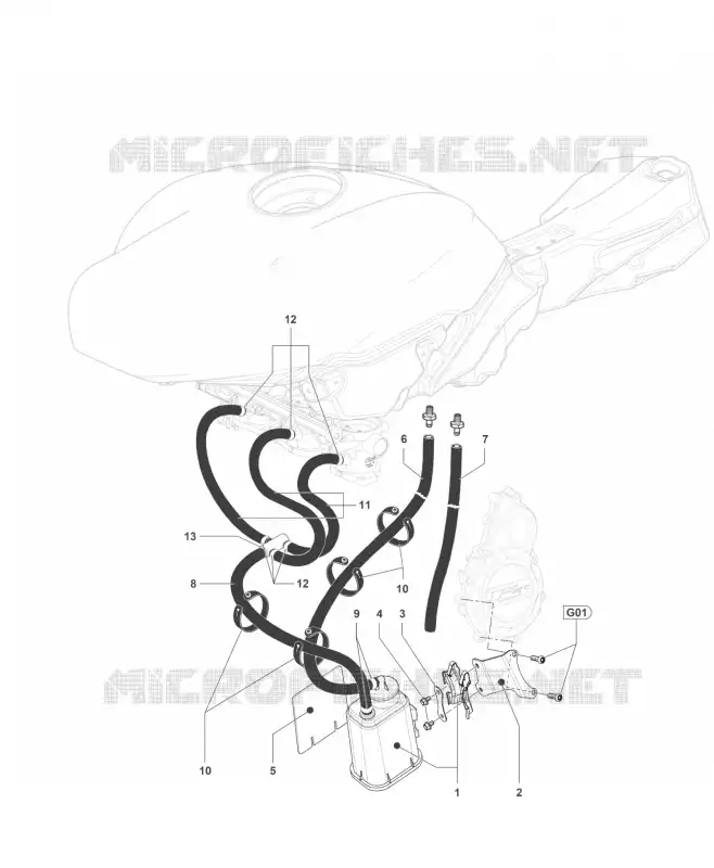 CARBON CANISTER MV Agusta moto F3 2016 F3 800  F3 800