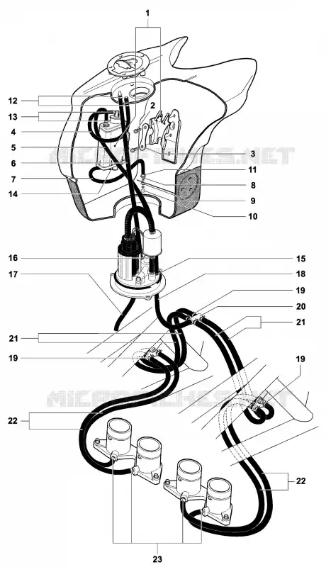 CARBON CANISTER USA MV Agusta moto F4 2004 F4 TAMBURINI  F4 TAMBURINI